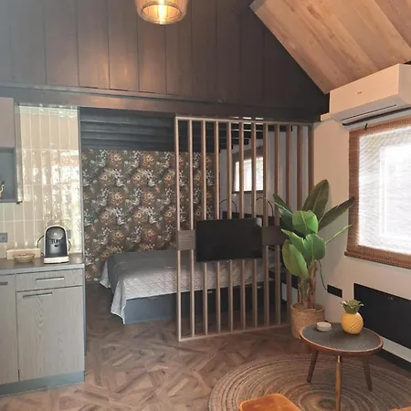 Bed and breakfast Ut Hófke 3*